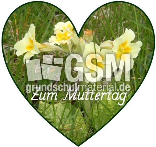 Herz-Foto-Muttertag_37.jpg